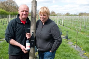 Noch ist der Weinbau eher ein Hobby. Aber die Familie Spakouskas ist zuversichtlich den Weinbau in Nordengland fest verankern zu können. 